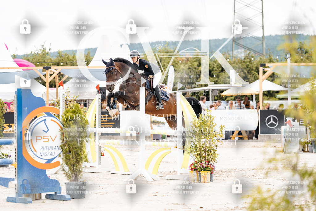 CK906380 | Turnierfotografie Pferdefotografie Trier Rheinland-Pfalz Pferdesport Reitsport Tierfotografie Sportfotografie Pferdevideo Pferdevideografie Equestrianvideography equestrianphotography  - Realisiert mit Pictrs.com