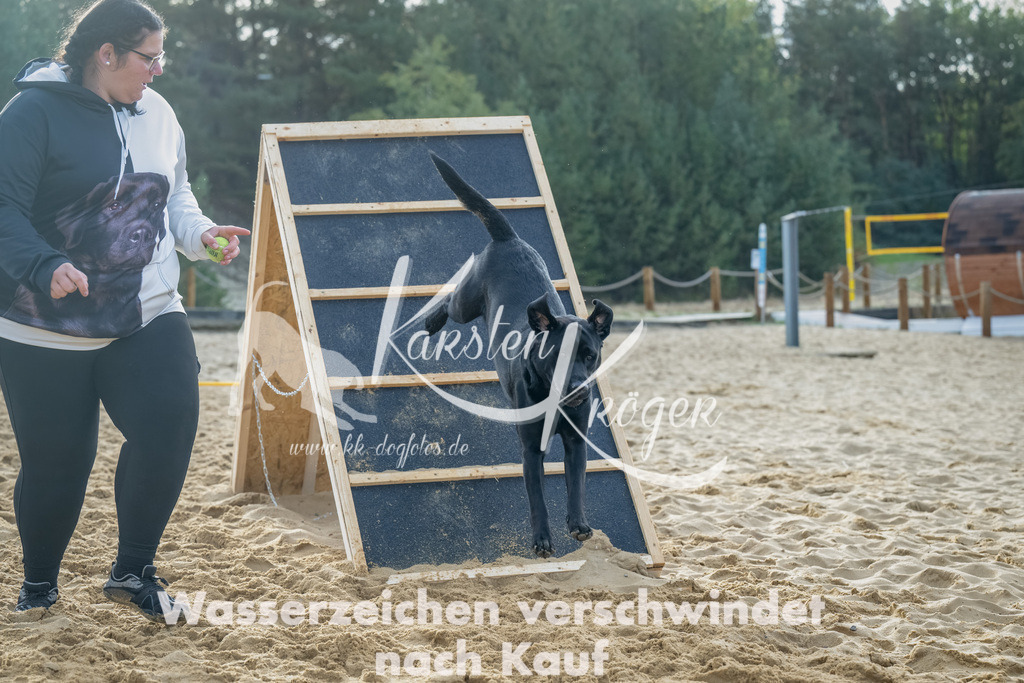 0905_ZZ91808-Bearbeitet | kk-dogfotos