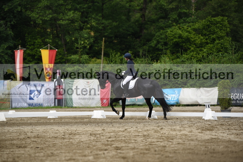DSC_8436 | equestrian-live-com