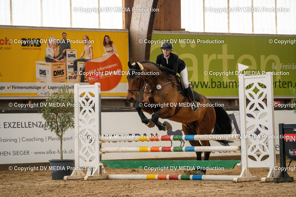 Kranichstein Tag 1-239 | dv-media-shop - Realisiert mit Pictrs.com