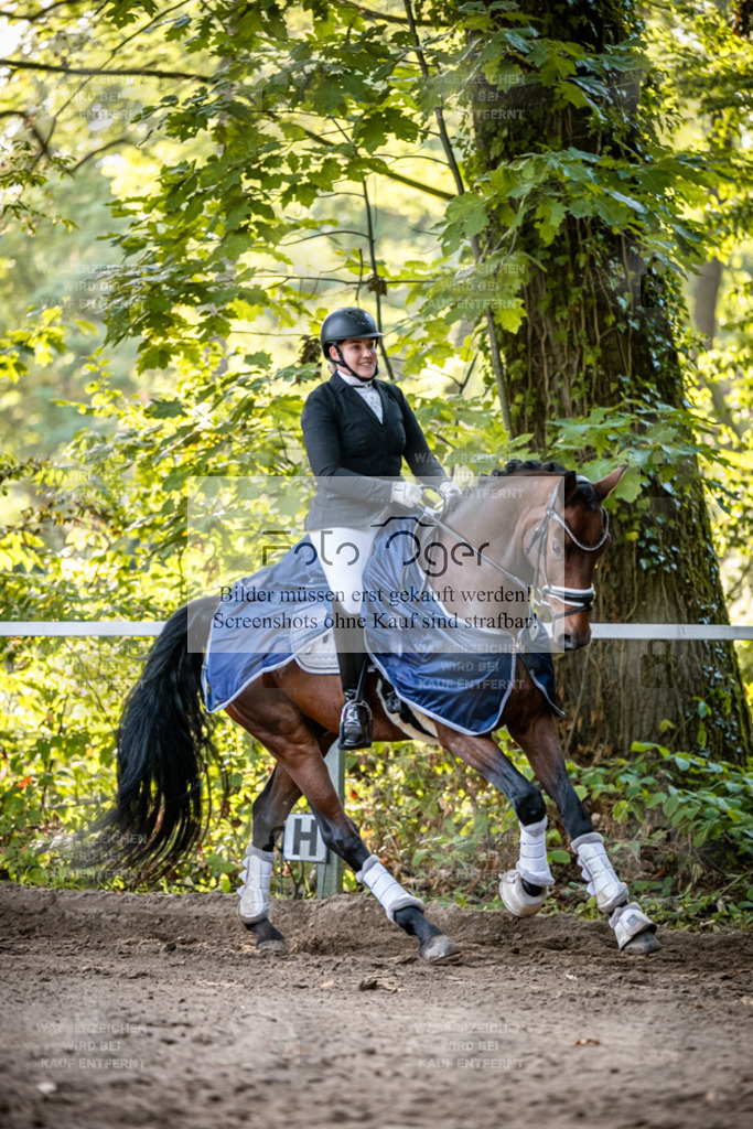 2026-10-Helle-14-0022 | Entdecke hochwertige Reitturnierfotos von Foto Oger. Professionell, emotional und authentisch – jetzt Lieblingsmomente im Shop bestellen.Deutschlandweite Turnierfotografie. - Realisiert mit Pictrs.com