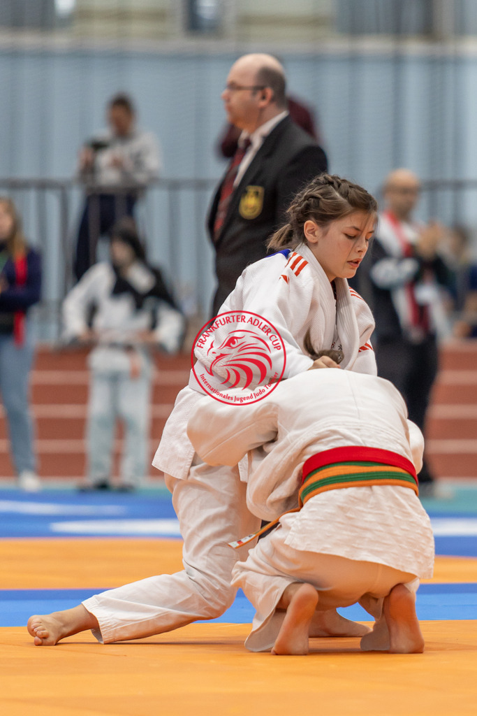 Internationaler Adler Cup 2024 | Foto vom Internationalen Adler Cup Judo Turnier im Sport- und Freizeitzentrum Kalbach im Oktober 2024 - Realisiert mit Pictrs.com