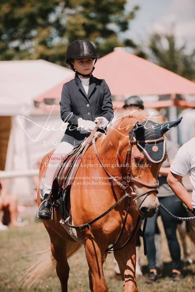 DSC_6165 | Pferde- und Turnierfotografie in Westsachsen. Pferdeportraits, Auftragszeichnungen und intuitive Kunst.