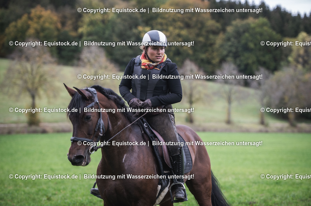 20241013_Jagd-Marbach_0337 | Foto: Thomas Hartig