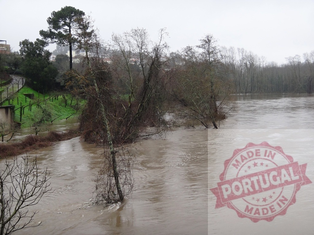 Muddy river overflowing bank during flood season. Portugal floods 02.26 - Paco de Sousa, Penafiel | Overcast sky with a swollen river covering parts of the bank and submerged trees - Realisiert mit Pictrs.com