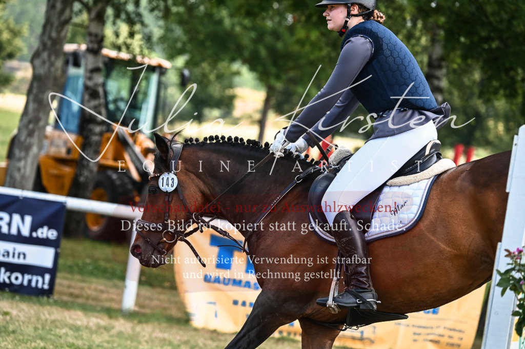 DSC_8015 | Pferde- und Turnierfotografie in Westsachsen. Pferdeportraits, Auftragszeichnungen und intuitive Kunst.