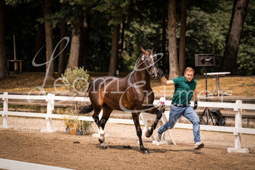 2. Fr00108 | Leoni Ertmer Photography - Realisiert mit Pictrs.com