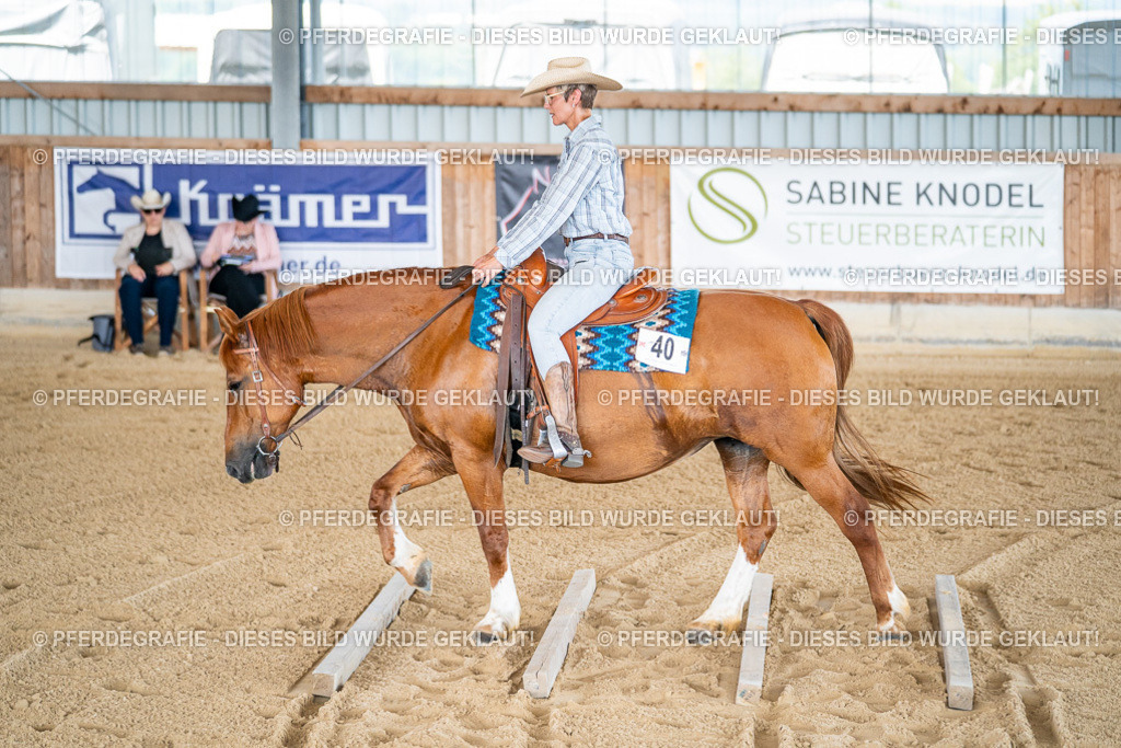 DSC02395 | Pferdegrafie