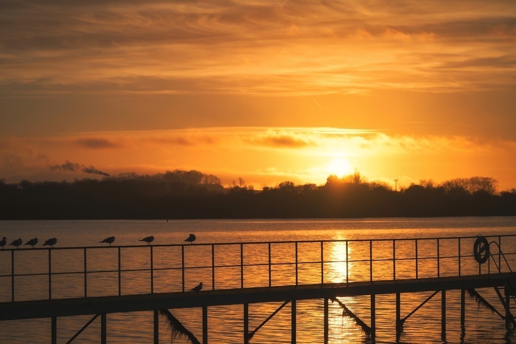 Z73_7757 | Freier Fotograf aus Itzehoe. Kontakt via instagram.com/f0t0kunst/ - Realisiert mit Pictrs.com