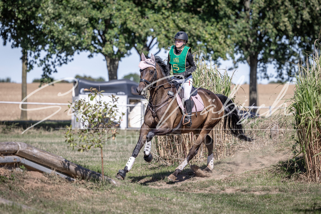 20260906-_3LI5257 | Tierfotografie Pferde, Hunde, Katzen, Haustiere.
Turnierfotografie Reitturniere, Reiten, Springreiten, Dressur in Hanau, dem Main-Kinzig-Kreis und dem Rhein-Main- Gebiet um Frankfurt