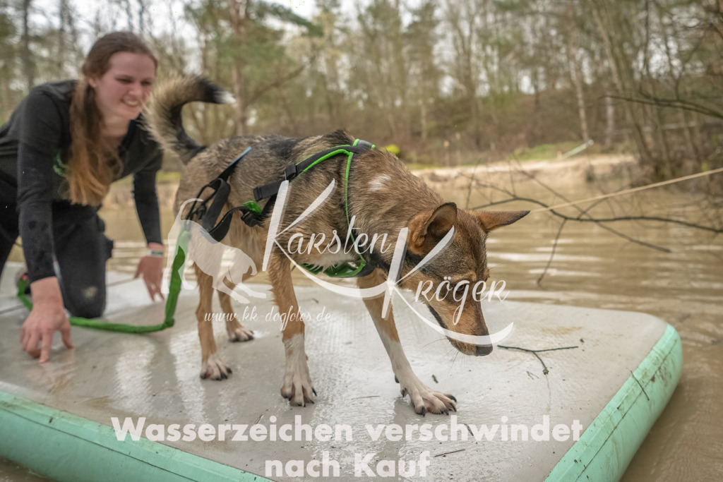 0859_ZZ90047-Bearbeitet | kk-dogfotos