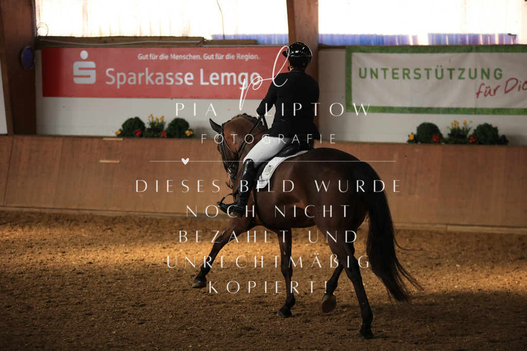 IMGT1573 | pl-fotografie