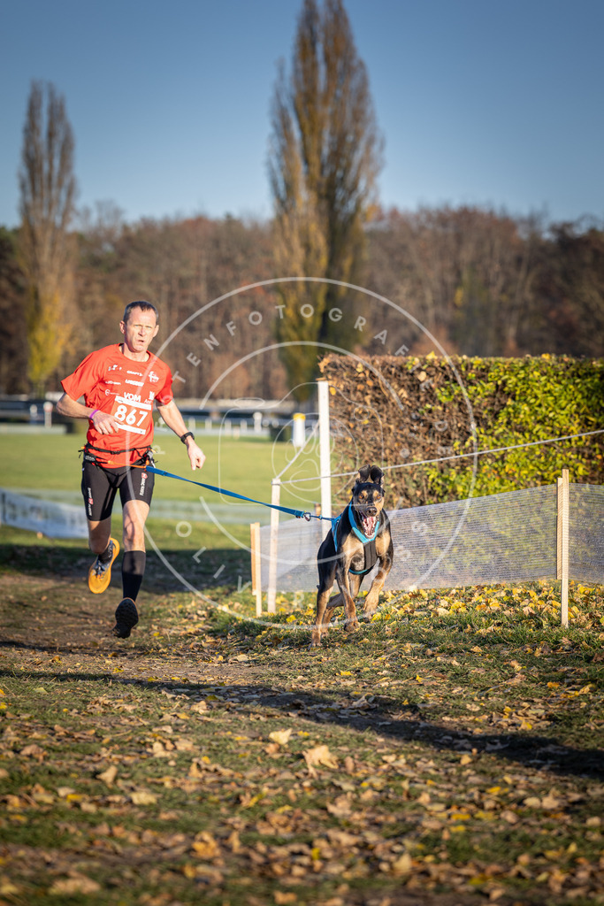 CaniXpix_DV3A4122 | Hundefotografie, Tierfotograf, Pfotenfotografie, Fotoshooting Hund, Hunde Portrait, Hundesport, Hundeportraits, Heideshooting, Hunde, Sportfotograf, Hundefotograf, Turnierhundsport, THS,  - Realisiert mit Pictrs.com