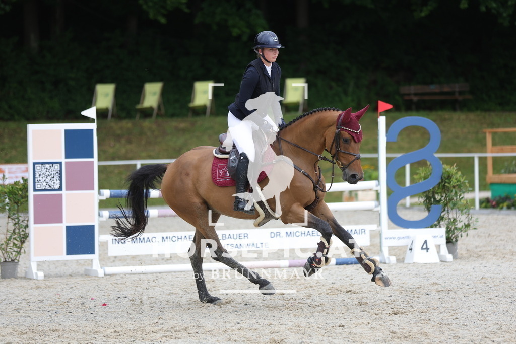 0P6A3077 | Willkommen bei Brunnmayr - Design & Fotografie – Ihrem Spezialisten für Reitturniere und Pferdeveranstaltungen in Oberösterreich, Salzburg und Bayern! Seit über 17 Jahren sind wir leidenschaftlich dabei.