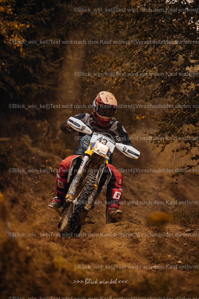 E68A3802 | blick_win_kel