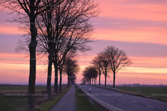 F.Gläser_82_Bornum_06. Dezember 2025 | Naturfotografie Frauke Gläser - Realisiert mit Pictrs.com