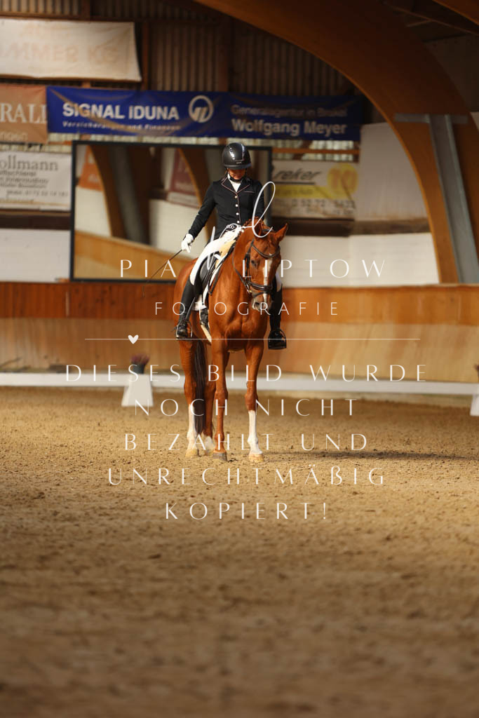 IMGM4092 | pl-fotografie