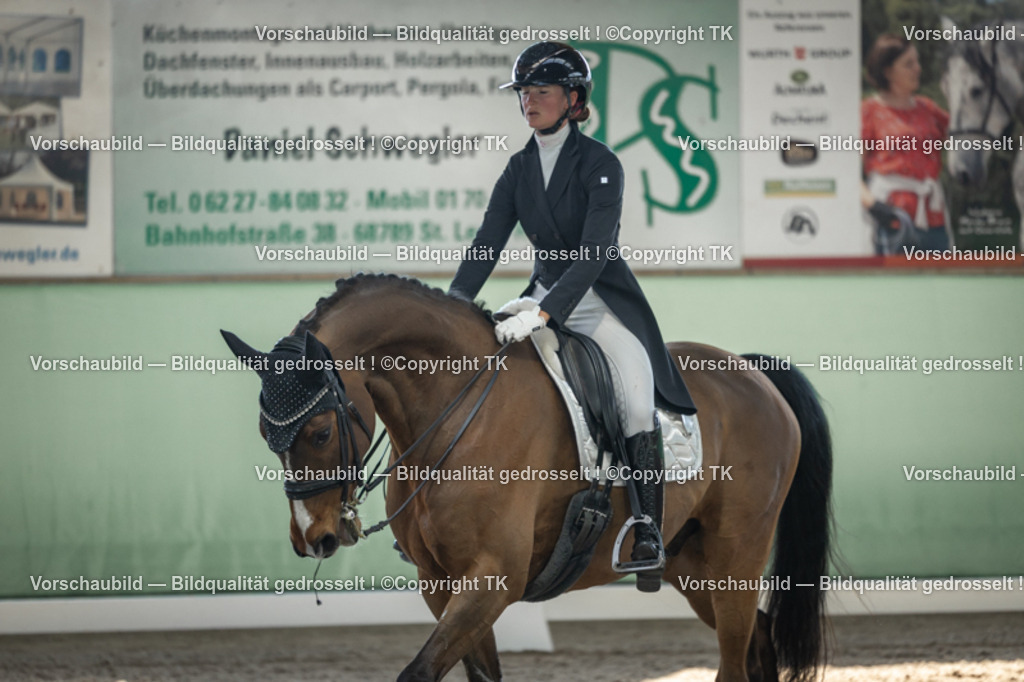 _D5A9822 | Emotionale Pferde- & People-Fotografie rund um Heidelberg, Leimen & Umgebung. Natürliche Fotos von Pferd, Mensch & Familie. Jetzt Termin sichern!