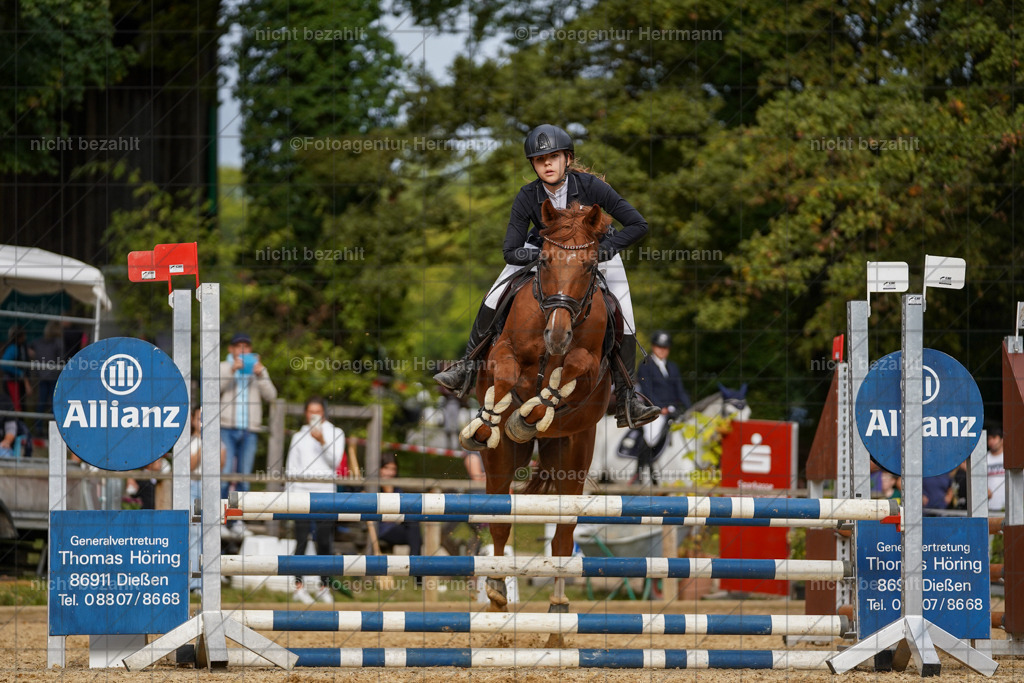 20231008-SN_01309 | Diessen am Ammersee, 2023, Dressur- und Springturnier, Reitsport, Turnierfotografie, Pferdebilder, Reitbilder, Turnierfotografen Bayern, Fotoagentur Herrmann
