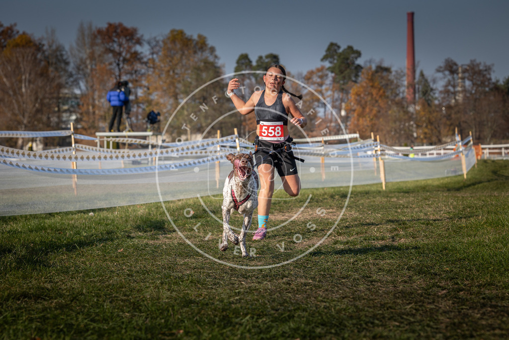 CaniXpix_0L8A9198 | Hundefotografie, Tierfotograf, Pfotenfotografie, Fotoshooting Hund, Hunde Portrait, Hundesport, Hundeportraits, Heideshooting, Hunde, Sportfotograf, Hundefotograf, Turnierhundsport, THS,  - Realisiert mit Pictrs.com