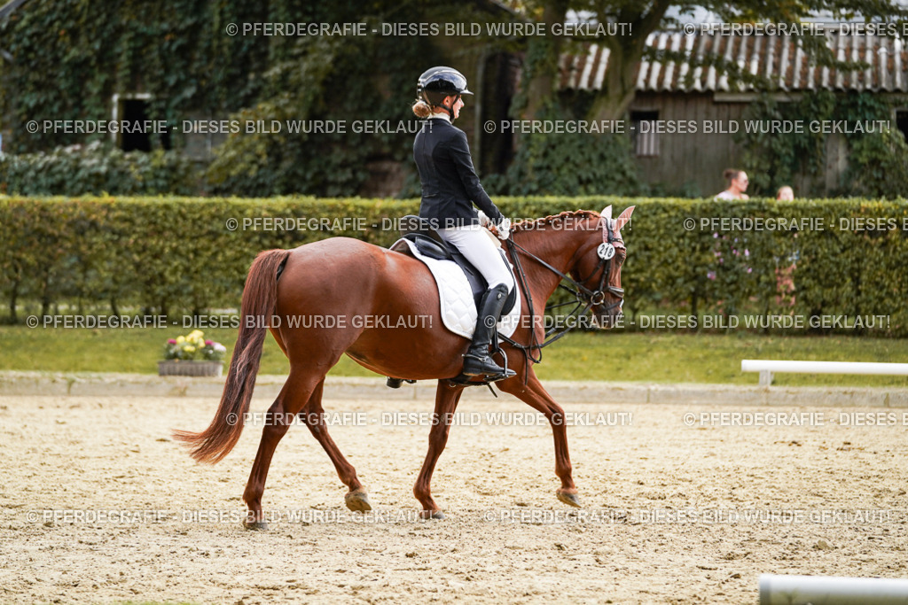 DSC00854 | Pferdegrafie