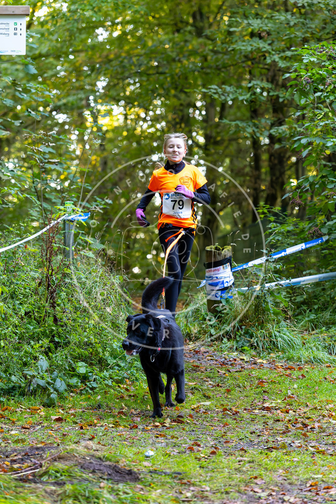 Pfotenfotografie_DV3A7499 | Hundefotografie, Tierfotograf, Pfotenfotografie, Fotoshooting Hund, Hunde Portrait, Hundesport, Hundeportraits, Heideshooting, Hunde, Sportfotograf, Hundefotograf, Turnierhundsport, THS,  - Realisiert mit Pictrs.com