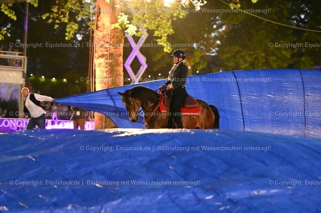 20230526_Pferdenacht_1051 | equistock