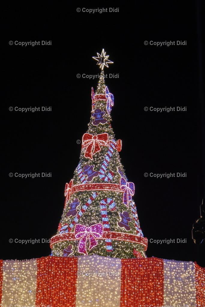 IMG_1197 | Didi - Realisiert mit Pictrs.com