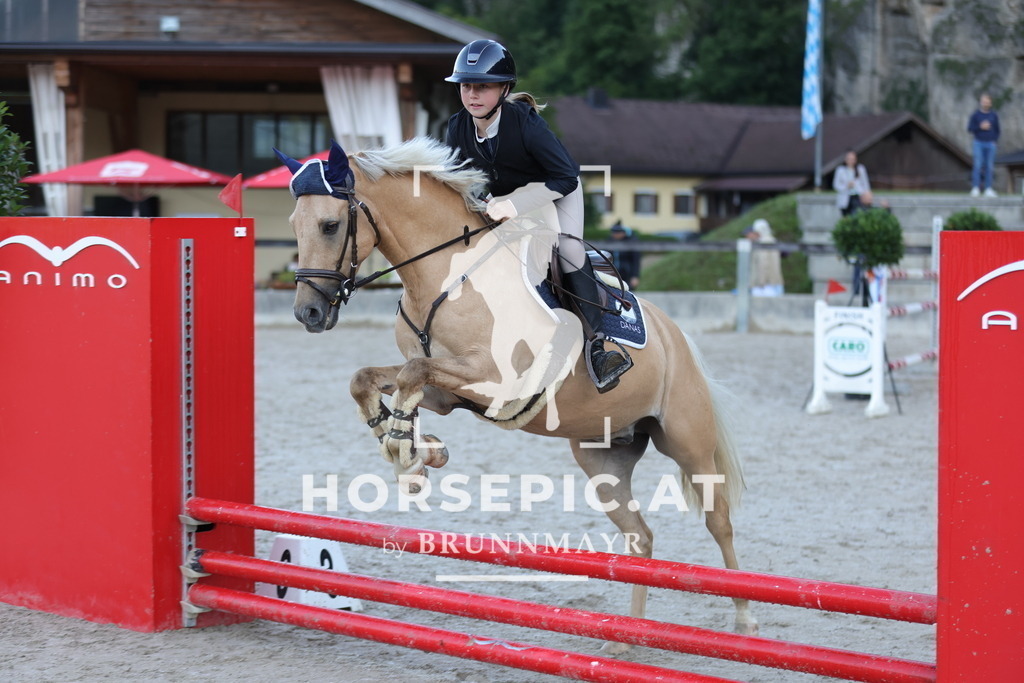 0P6A3974 | Willkommen bei Brunnmayr - Design & Fotografie – Ihrem Spezialisten für Reitturniere und Pferdeveranstaltungen in Oberösterreich, Salzburg und Bayern! Seit über 17 Jahren sind wir leidenschaftlich dabei.