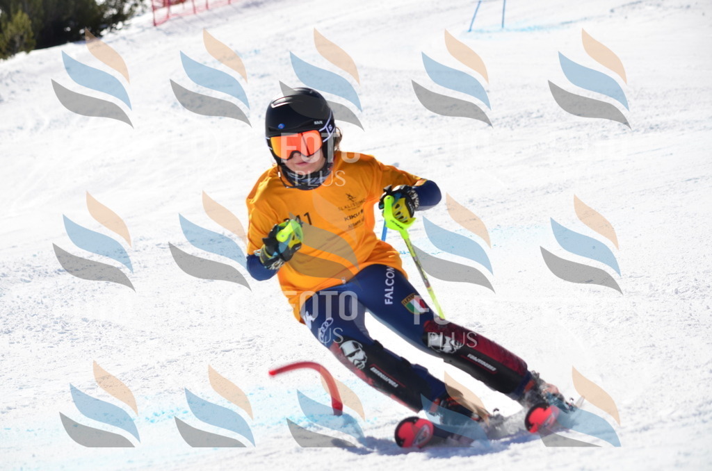 C9734 | holidayphoto