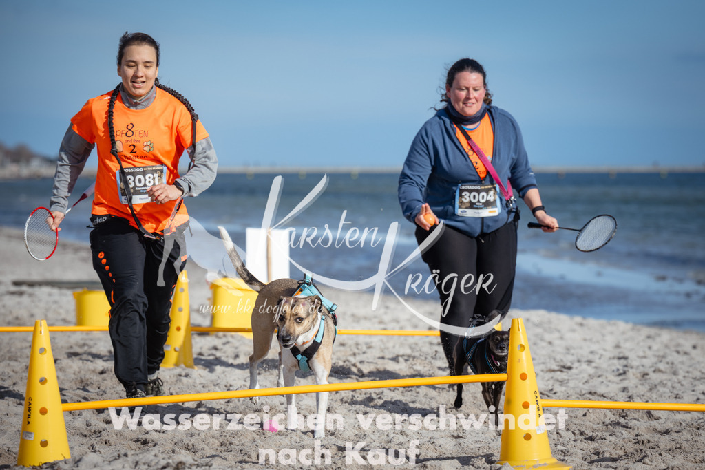 1340_ZZ92745 | kk-dogfotos