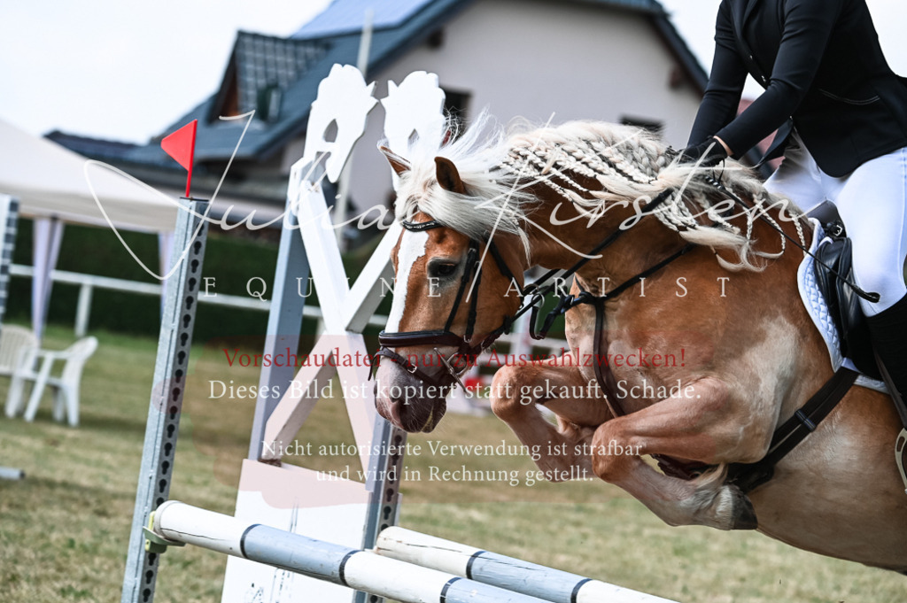 DSC_8747 | Pferde- und Turnierfotografie in Westsachsen. Pferdeportraits, Auftragszeichnungen und intuitive Kunst.