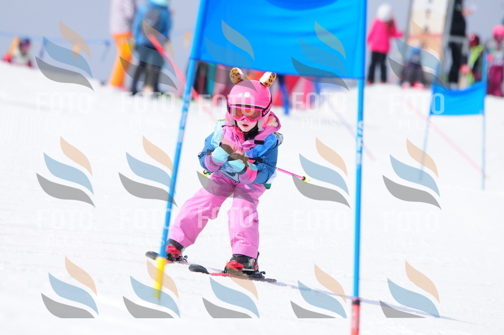 A3594 | holidayphoto