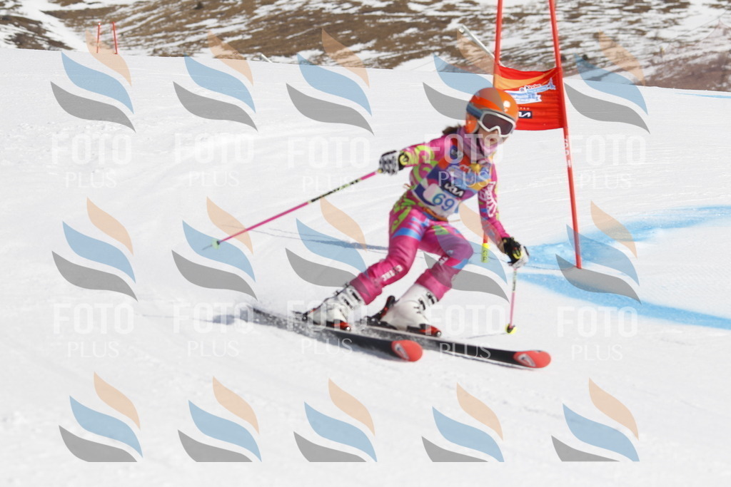 _U3G9805 | holidayphoto