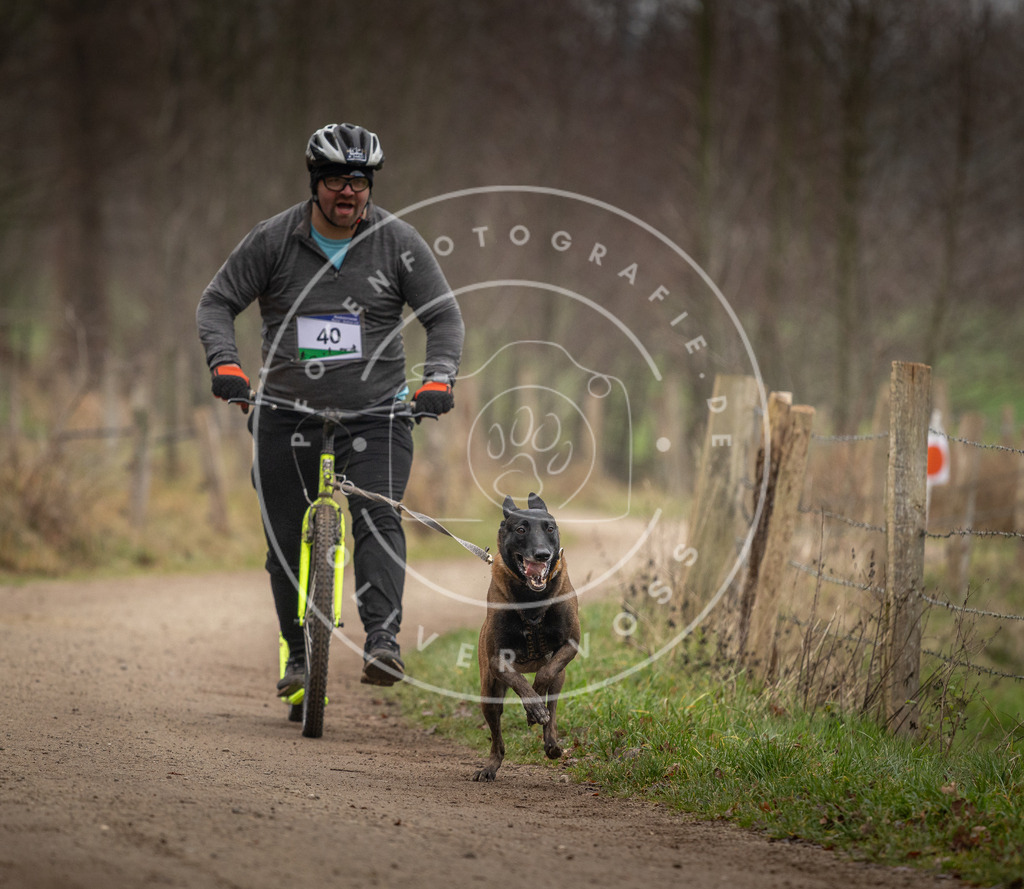 Pfotenfotografie_DV3A2557 | Hundefotografie, Tierfotograf, Pfotenfotografie, Fotoshooting Hund, Hunde Portrait, Hundesport, Hundeportraits, Heideshooting, Hunde, Sportfotograf, Hundefotograf, Turnierhundsport, THS,  - Realisiert mit Pictrs.com
