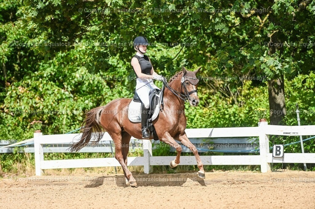 20230716_01_Dressurprüfung Kl.M_0342 | equistock