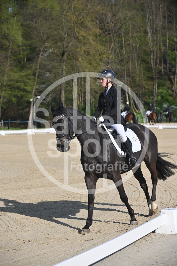 DSC_9937 | sattelsport - Realisiert mit Pictrs.com