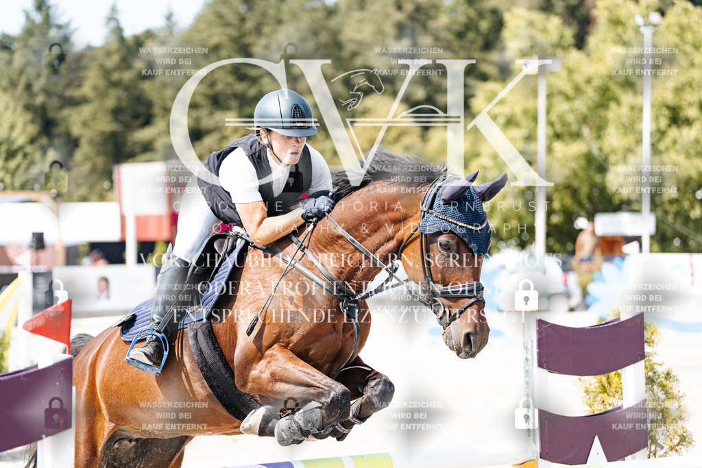 CK901253 | Turnierfotografie Pferdefotografie Trier Rheinland-Pfalz Pferdesport Reitsport Tierfotografie Sportfotografie Pferdevideo Pferdevideografie Equestrianvideography equestrianphotography  - Realisiert mit Pictrs.com