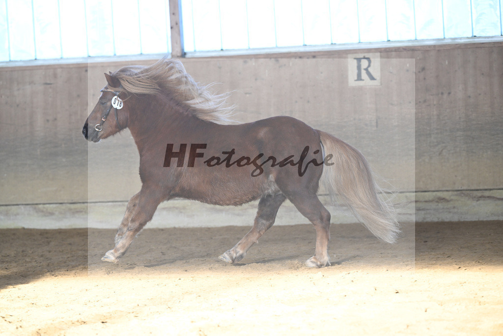 Kat-Nr. 18 Well Doves Walesco v. Well done_Laege u Ruediger_49250775 | hf-fotografie - Realisiert mit Pictrs.com