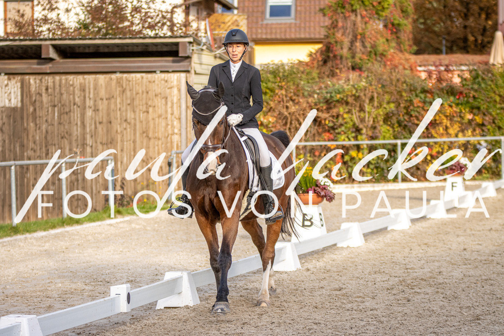 IMG_4526 | Erleben Sie dynamische Sport- und emotionale Tierfotografie in Süddeutschland mit Fotos von Paula. Spezialisiert auf Pferde- und Hundefotografie sowie Sportevents. Kontaktieren Sie mich für einzigartige und ausdrucksstarke Bilder Ihrer besonderen Momente. - Realisiert mit Pictrs.com