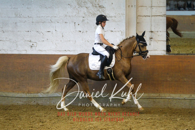 DKP44401 | Turniersportfotografie; Pferdefotografie; Dressurfotografie