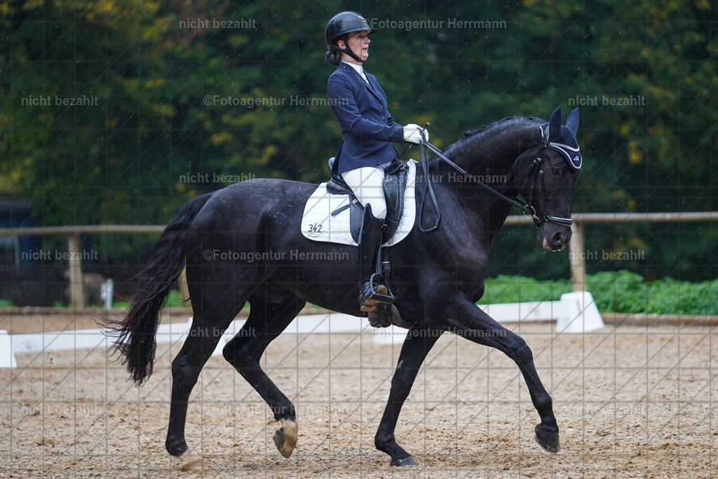 20221008-FAH02161 | Diessen am Ammersee, 2022, Dressur- und Springturnier, Reitsportbilder, Turnierfotografen Bayern, Pferdefotografen, Fotoagentur Herrmann, Turnierbilder