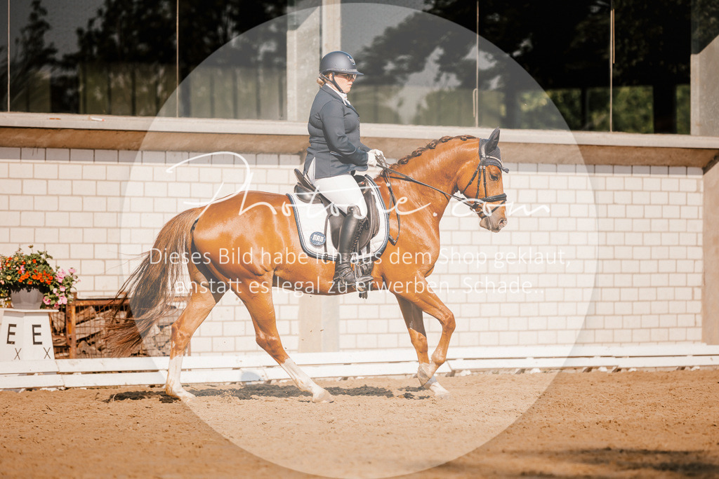 3I6A8785 | Stimmungsvolle Portraits und Reitsportfotografie im Ruhrgebiet und im Münsterland.

Pferdefotografie, Hundefotografie, Tierfotografie, Reportagen, Portraits von Tier und Mensch, Turnierfotografie in Bochum, Recklinghausen, Marl, Haltern am See, Dülmen.. - Realisiert mit Pictrs.com