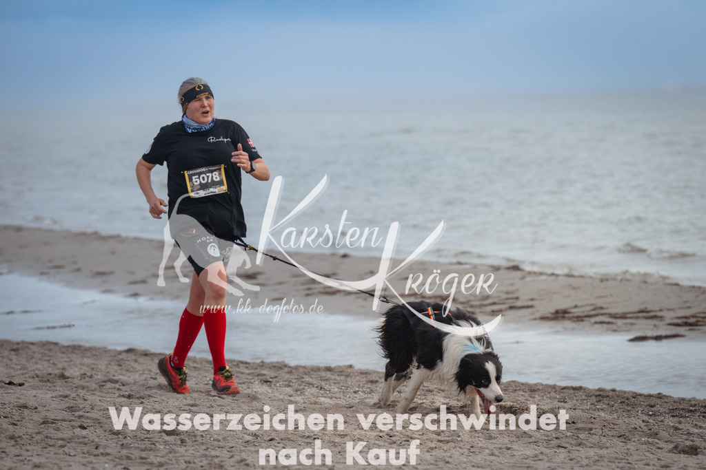 1145_ZZ90668 | kk-dogfotos