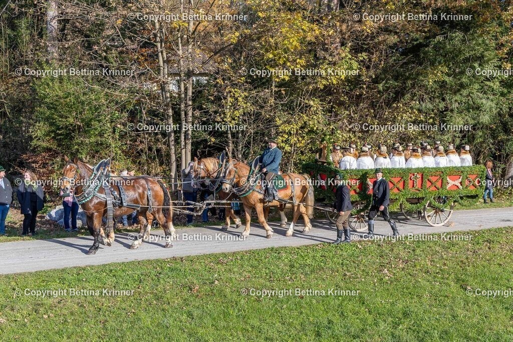 LBT24-263 | foto-bettina-krinner - Realisiert mit Pictrs.com