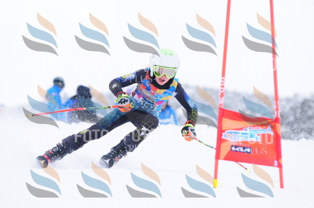 C4162 | holidayphoto