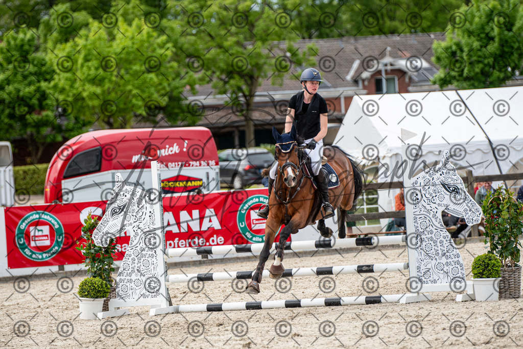 KPT_7232 | andre_photographic