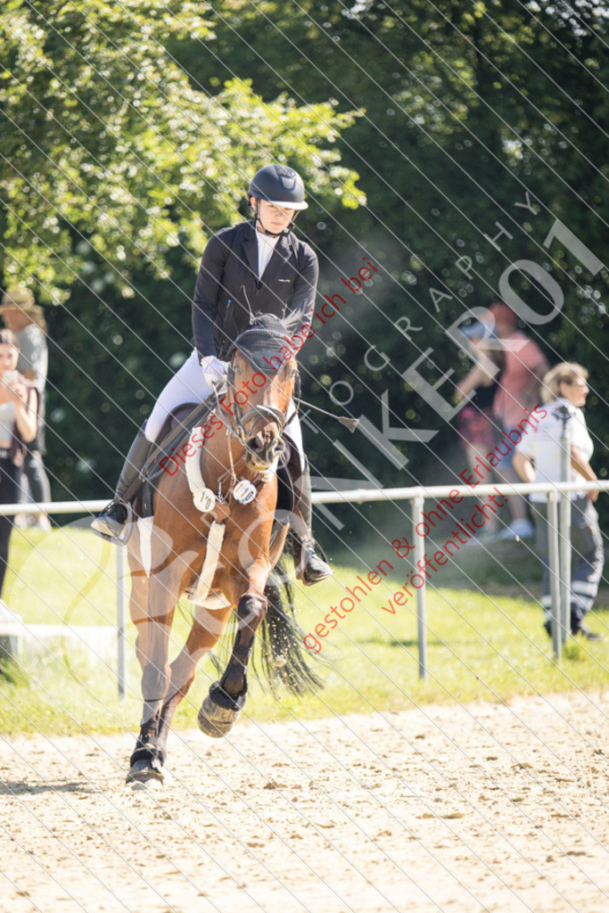 IMG_3238 | Sport-, Event- und Tierfotos in Profiqualität. Einfach auswählen, bestellen und herunterladen. Dein Moment – perfekt festgehalten.