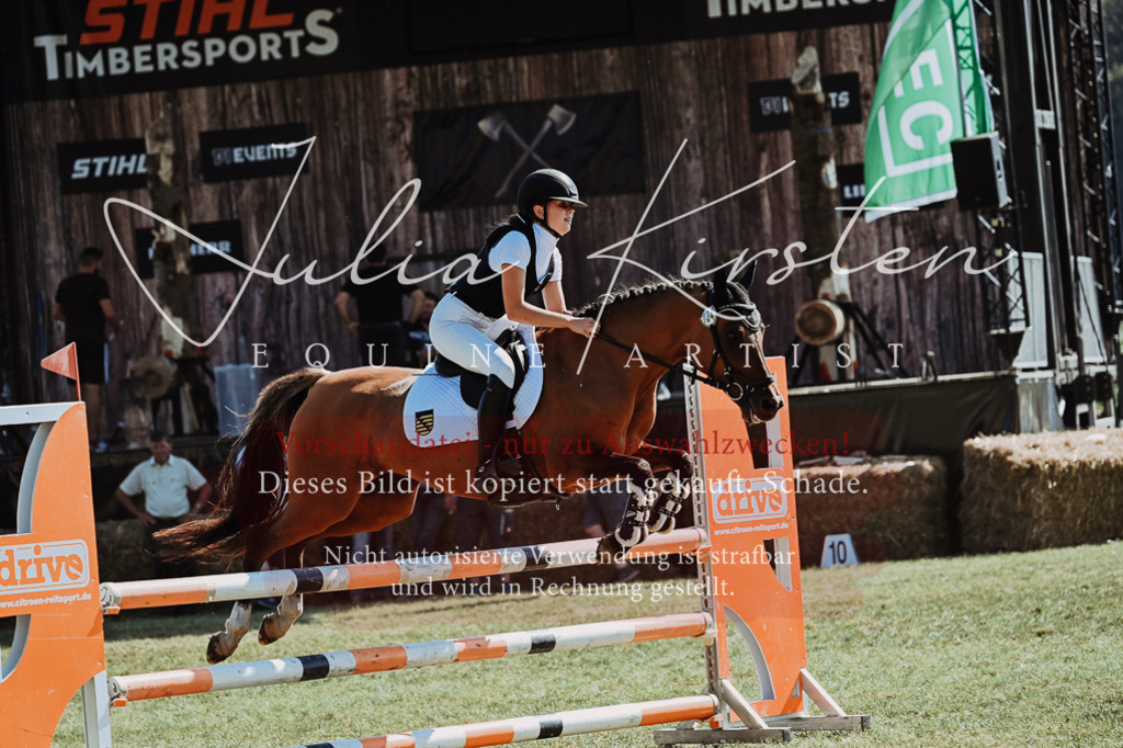 DSC_6145 | Pferde- und Turnierfotografie in Westsachsen. Pferdeportraits, Auftragszeichnungen und intuitive Kunst.