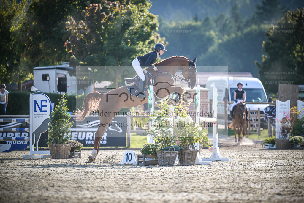 DOS_1112 | Entdecke hochwertige Reitturnierfotos von Foto Oger. Professionell, emotional und authentisch – jetzt Lieblingsmomente im Shop bestellen. - Realisiert mit Pictrs.com